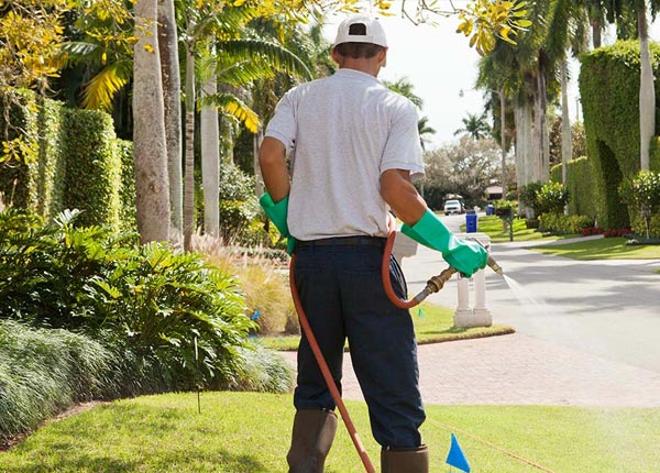 About Republic KS Pest Control